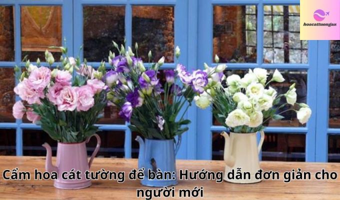 Cẩm hoa cát tường để bàn: Hướng dẫn đơn giản cho người mới