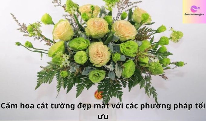 Cẩm hoa cát tường đẹp mắt với các phương pháp tối ưu