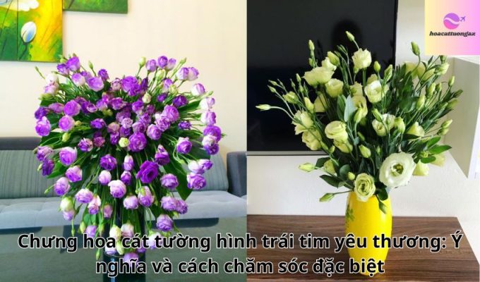 Chưng hoa cát tường hình trái tim yêu thương: Ý nghĩa và cách chăm sóc đặc biệt