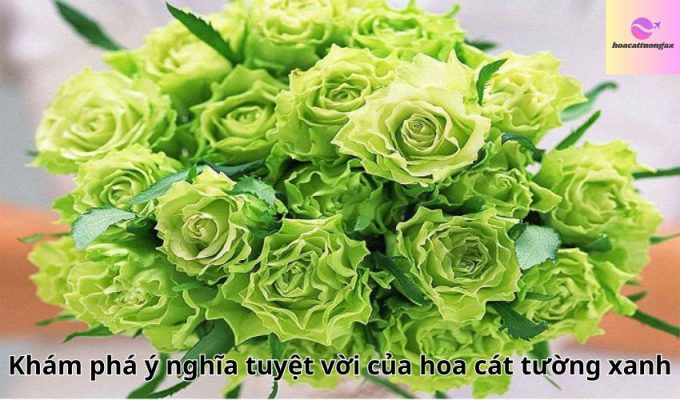 Khám phá ý nghĩa tuyệt vời của hoa cát tường xanh