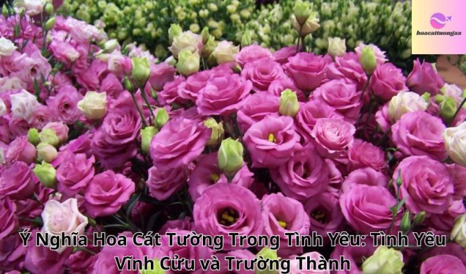 Ý Nghĩa Hoa Cát Tường Trong Tình Yêu: Tình Yêu Vĩnh Cửu và Trường Thành